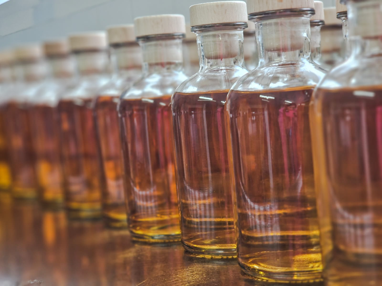 ilgrappone fila bottiglie grappa antique edited -