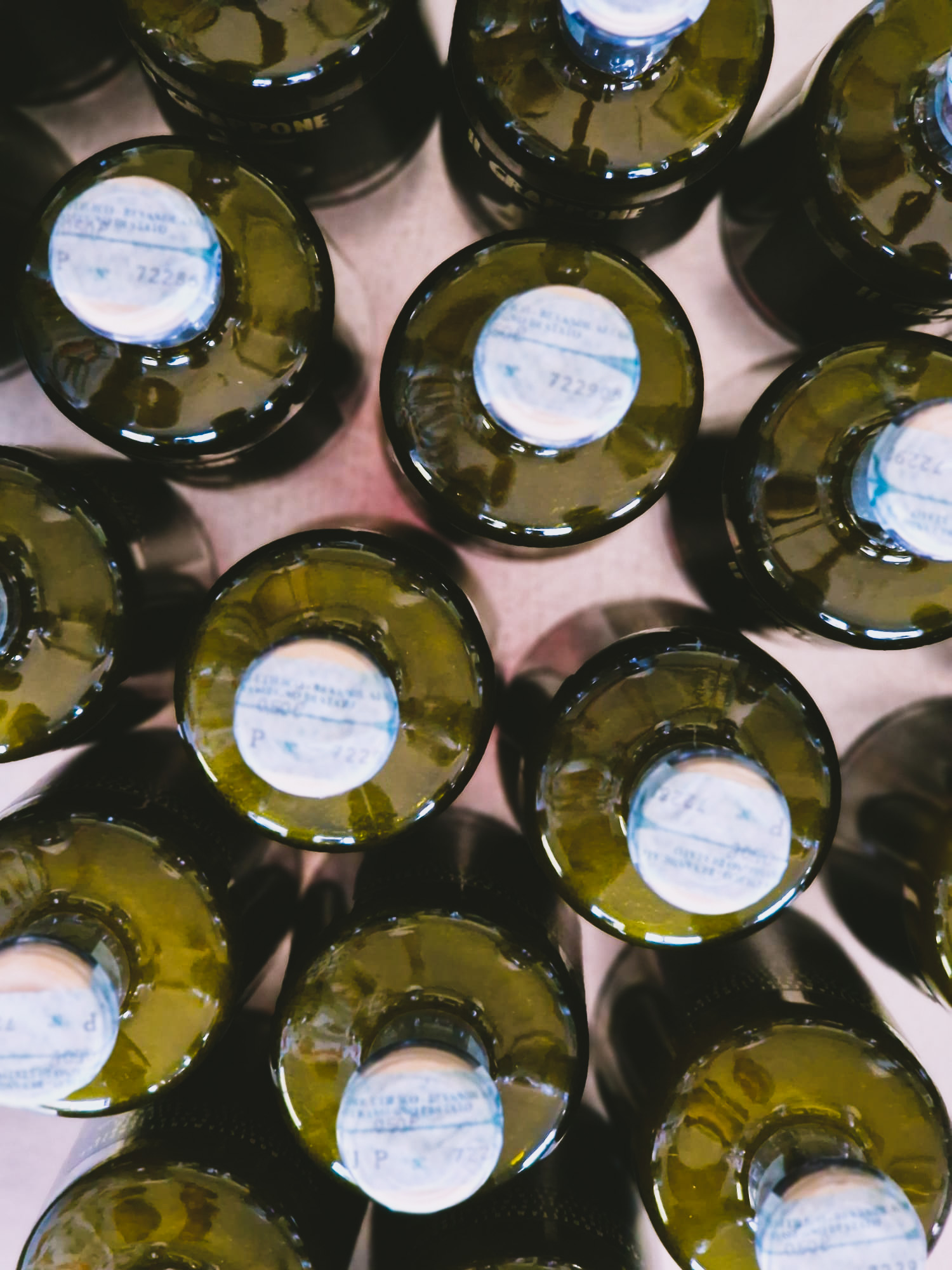 ilgrappone fila bottiglie pera 5 edited -